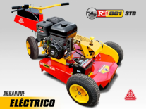 ROLAND PRO BRIGGS STRATTON 13.5 HP A/E