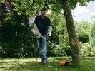 Bordeadora Eléctrica FSE 60 Stihl - STIHL